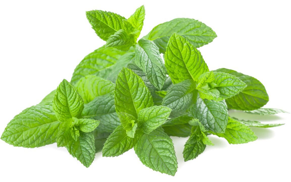 Peppermint oil in Hondrolife