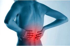 Spinal osteochondrosis site